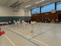PXL_20240621_160518848.MP_