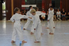 IMG_4288_a