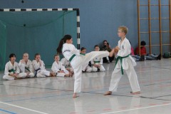 IMG_4302_a