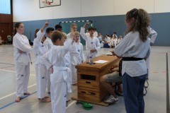 IMG_4334_a