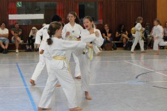 IMG_4368_a