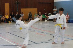 IMG_4469_a