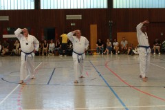 IMG_4738_a