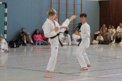 IMG_4807_a