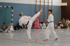 IMG_4809_a